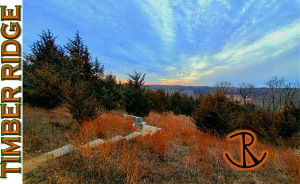 Timber Ridge Coffee Mug - Choose your photo!